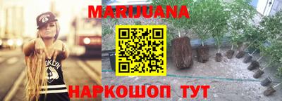 прущие грибы Мариинск