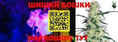 прущие грибы Мариинск