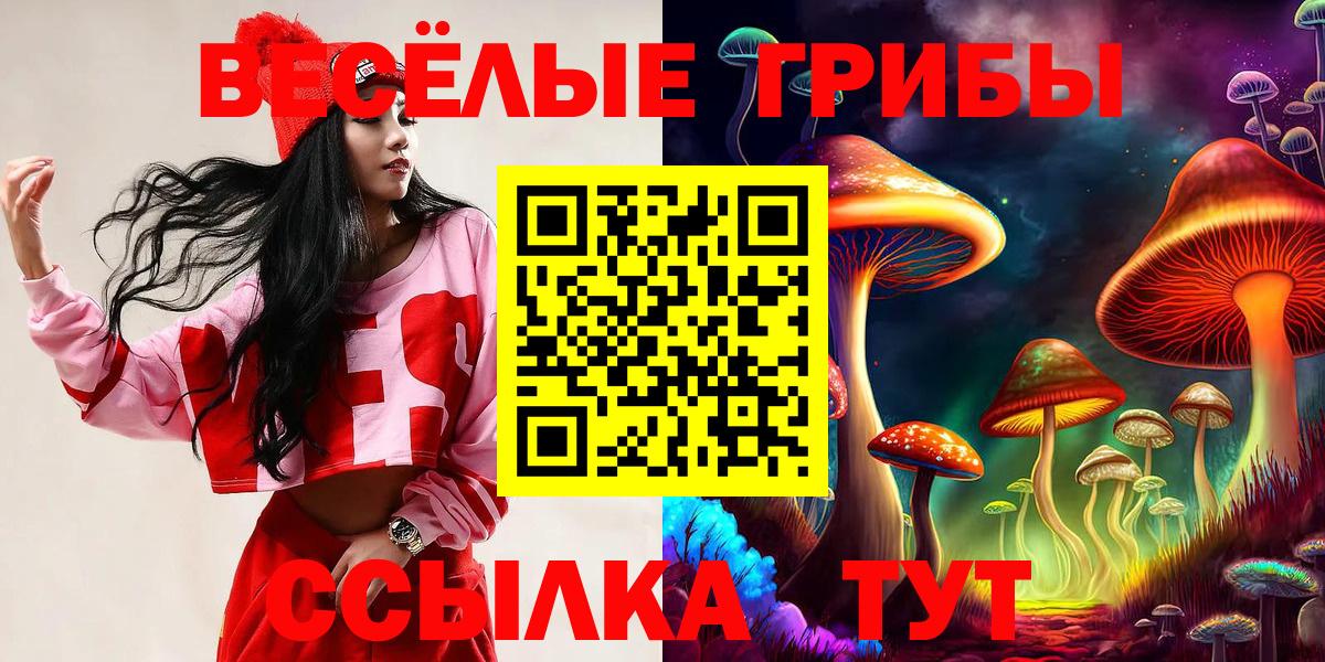 Гусев  Псилоцибиновые грибы прущие грибы  Вход с VPN 